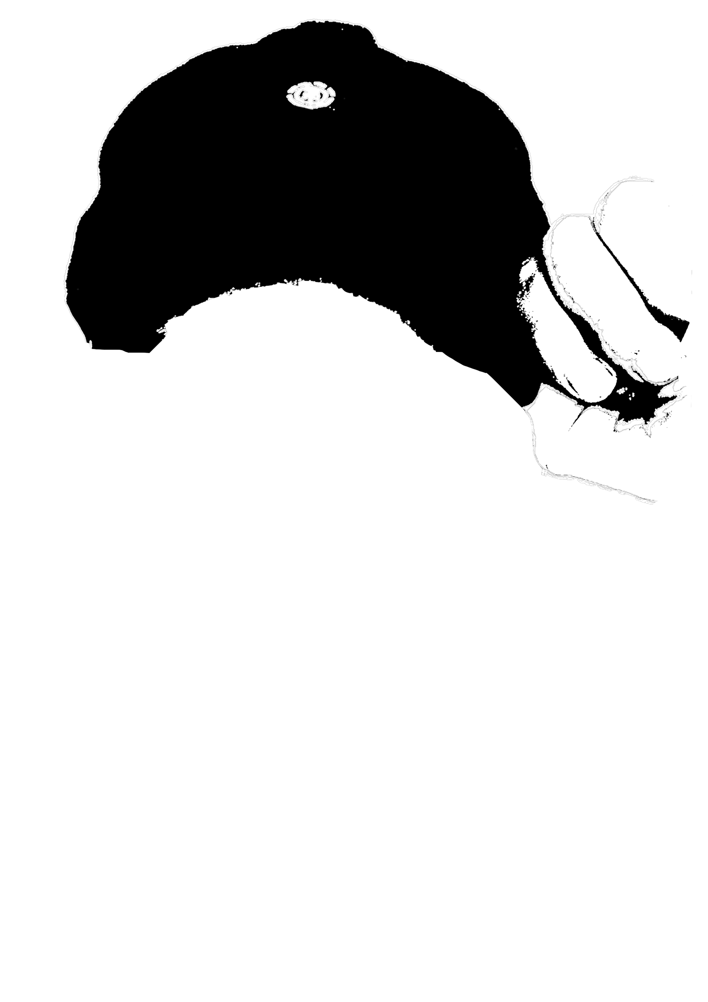 layer du dessin